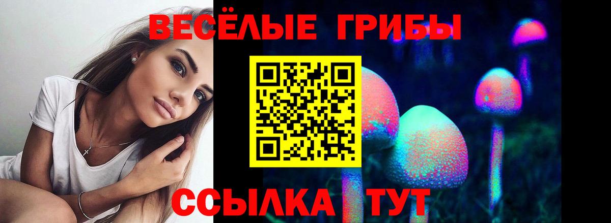 Псилоцибиновые грибы ЛСД Дмитров